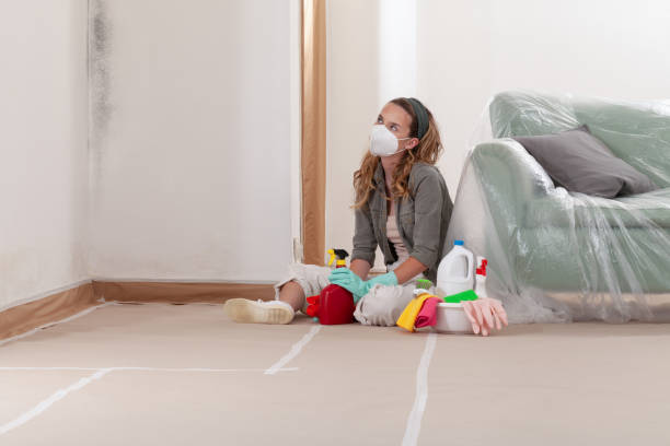 Reliable Bathroom Mold Removal contractor in Pasadena, TX by Mold Remediation HQ